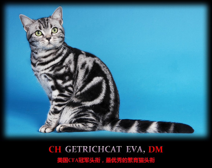 eva