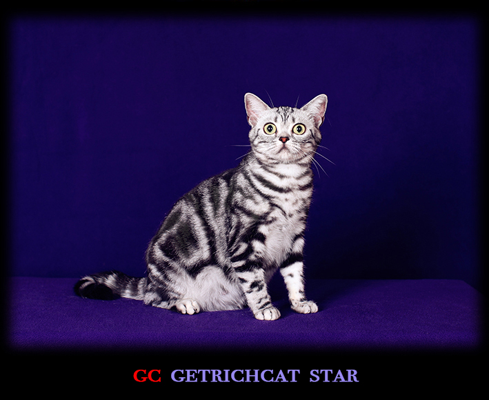 star