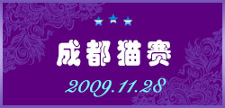 2009成都猫赛