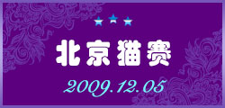 2009年北京12月猫赛