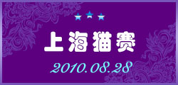 2010年8月28上海猫赛