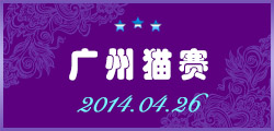 2014年4月26广州猫赛